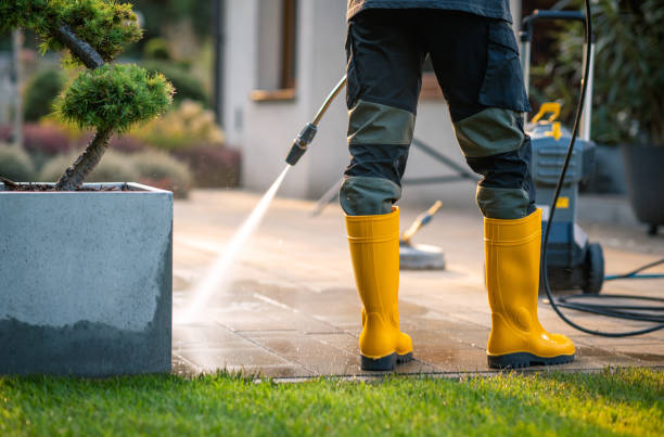 Professional Pressure Washing in Elk Grove Village, IL